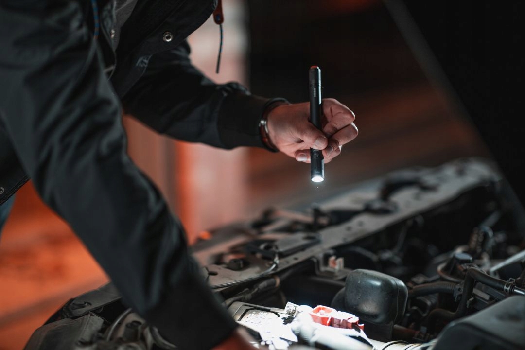 83d86cfd478cbef18e959ee2a956