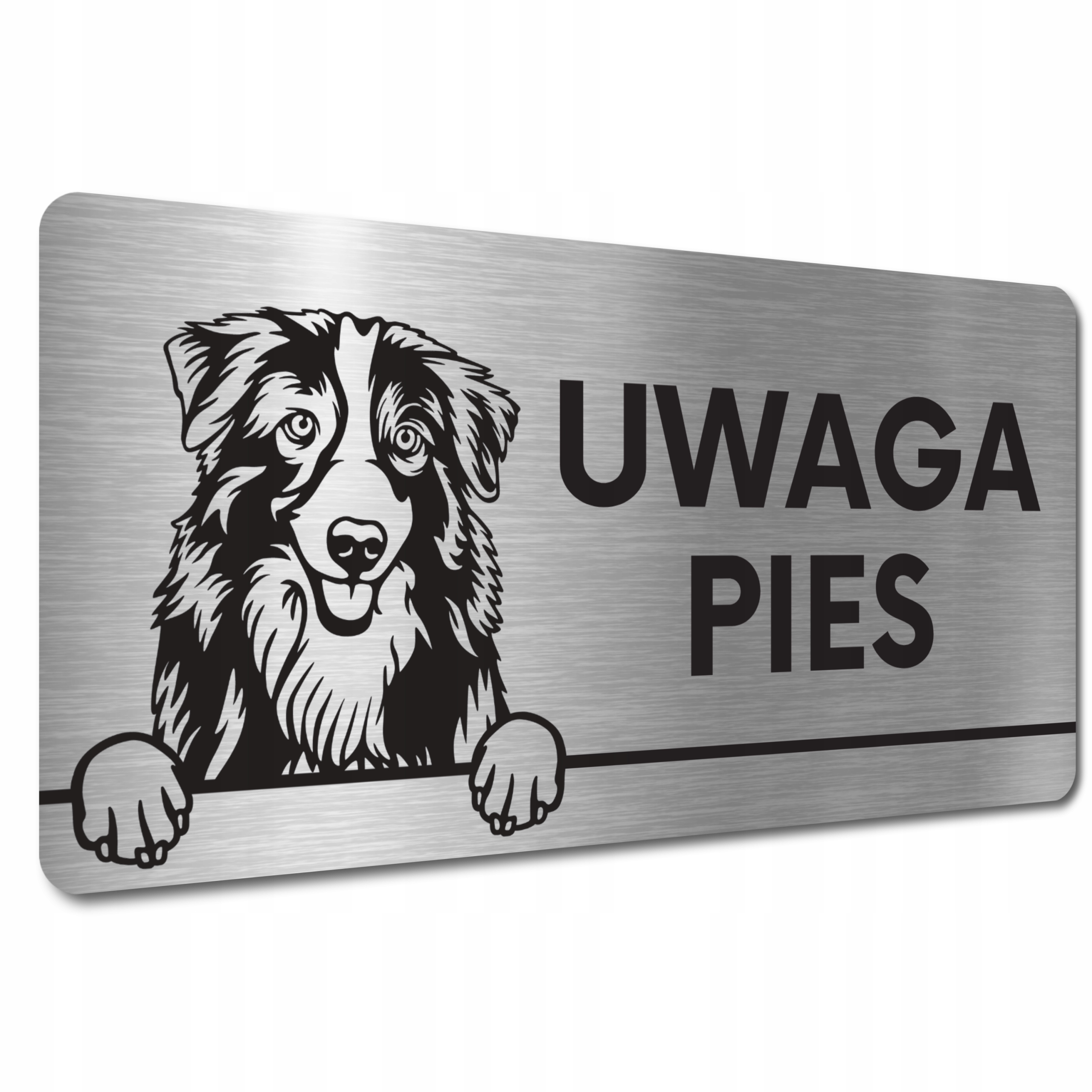 

Uwaga Zły Pies Tabliczka Owczarek australijski