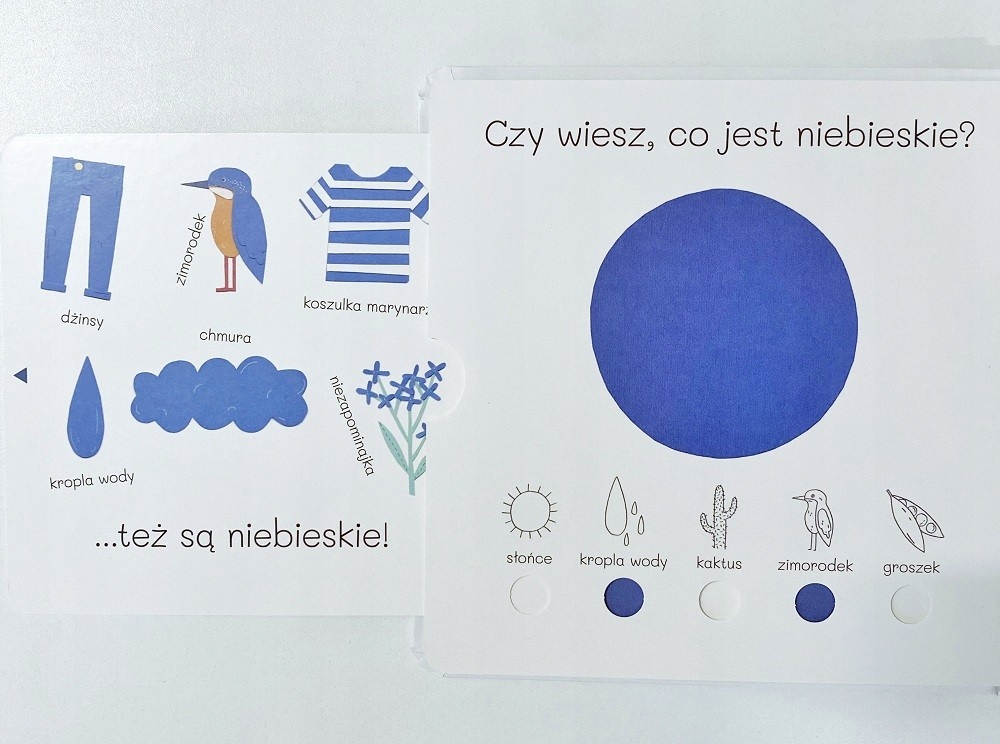 Kolory. Już znam! ruchome elementy Książka dzieci Tytuł Kolory. Już znam!