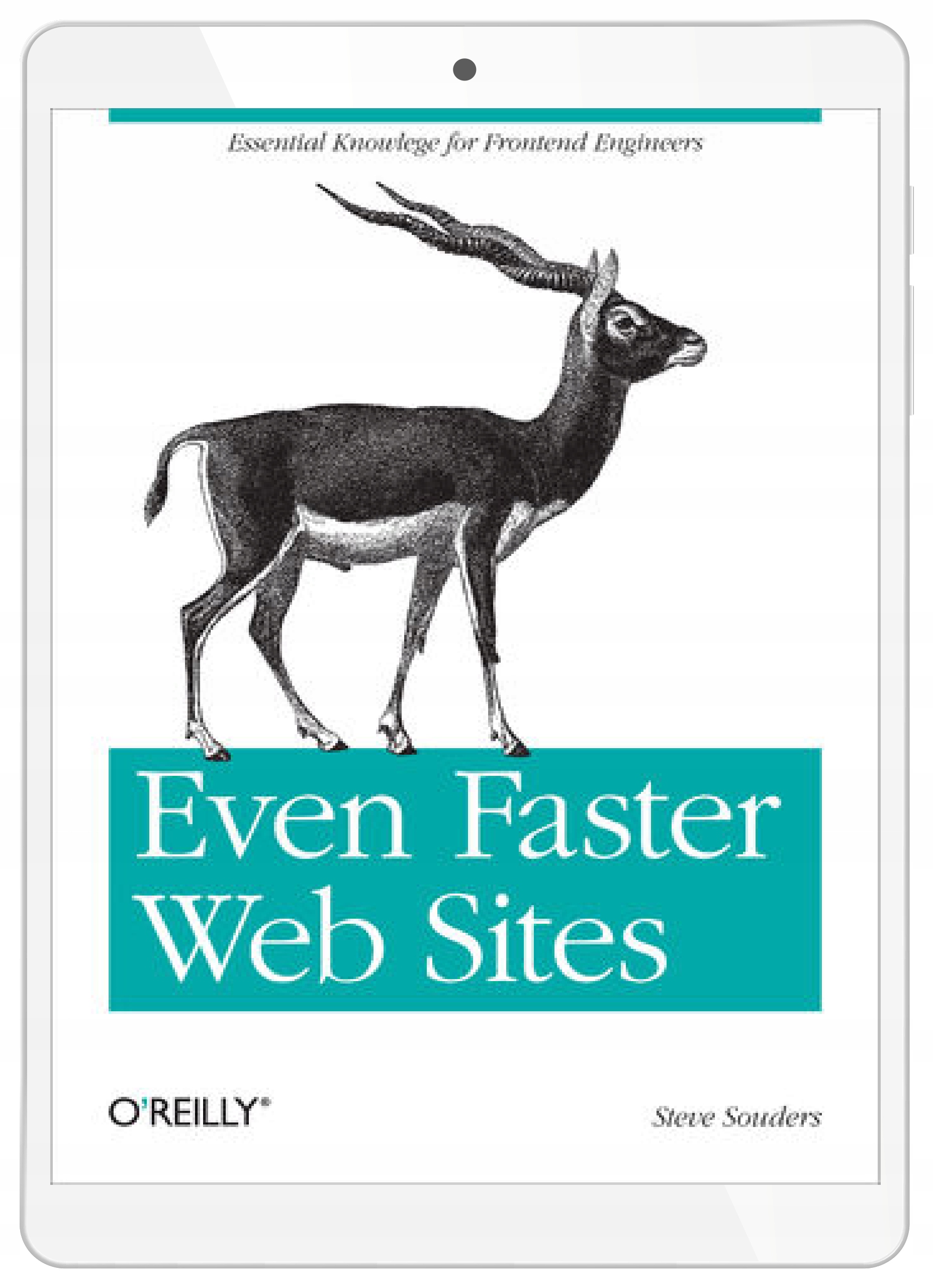 Even Faster Web Sites. Performance Best Practices