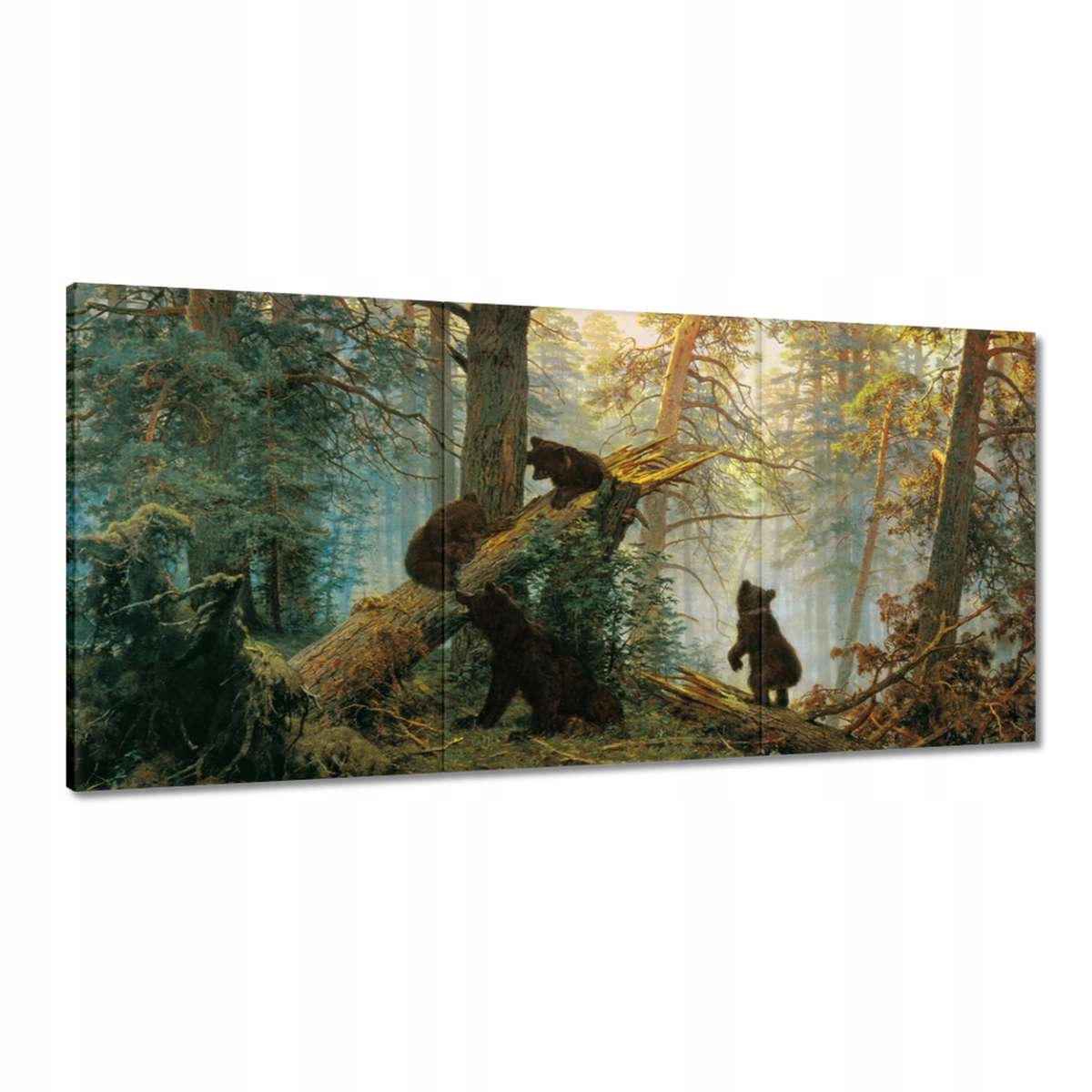 Obrazy 180x90 Ráno v borovicovom lese