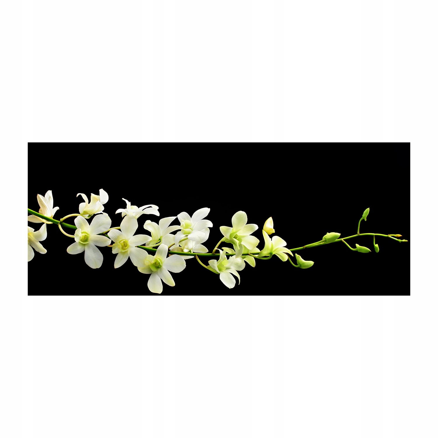 

Foto obraz duży akryl nowoczesny Orchidea 125x50cm