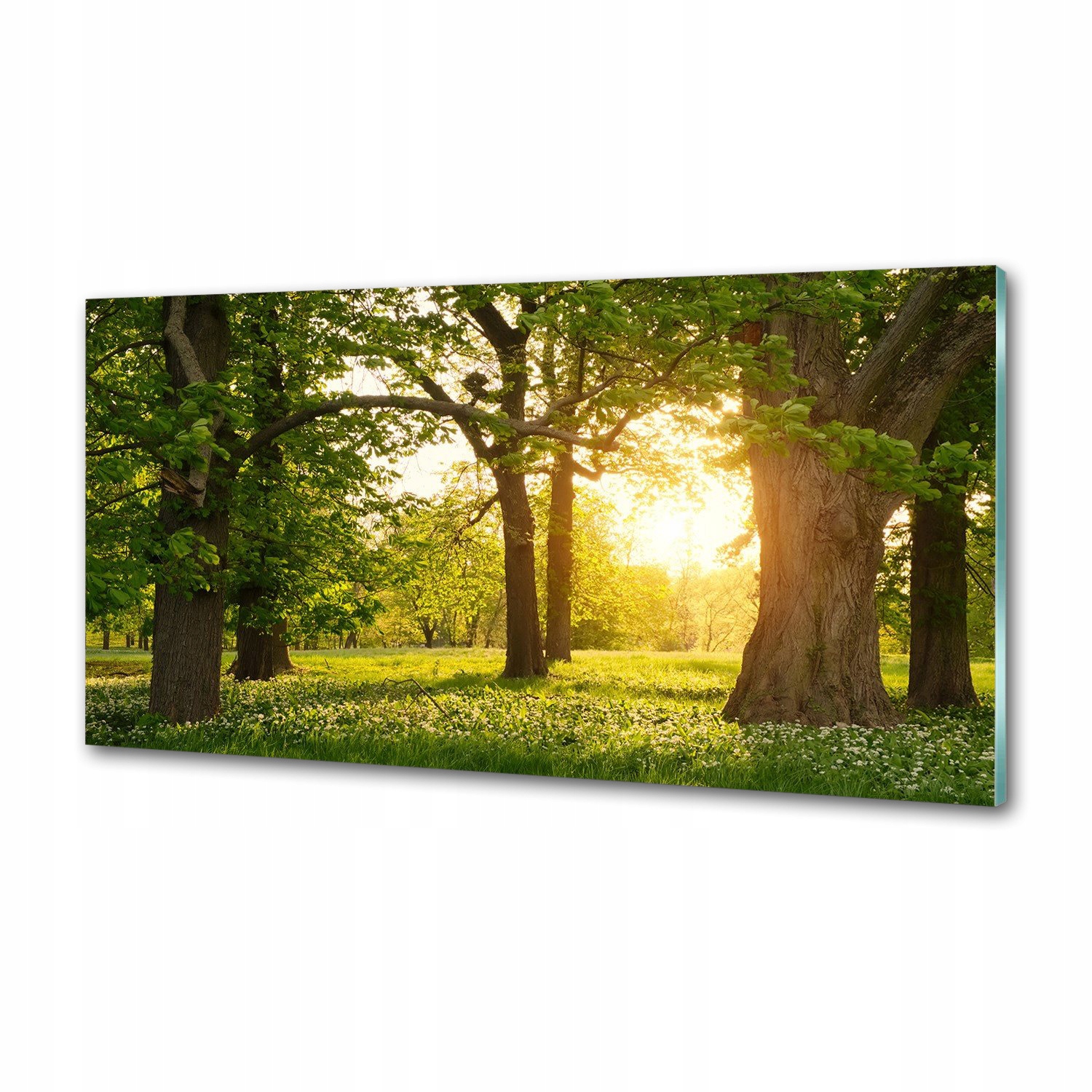 Panel do kuchyne Stromy v parku 100 x 50 cm Lepidlo