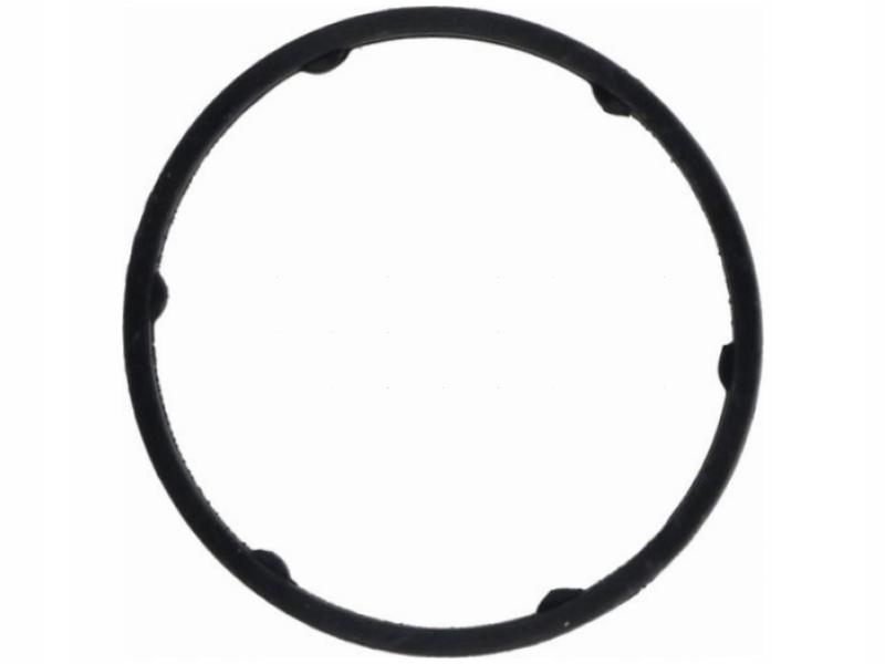 USZCZELKA TERMOSTATU ELRING 907.000