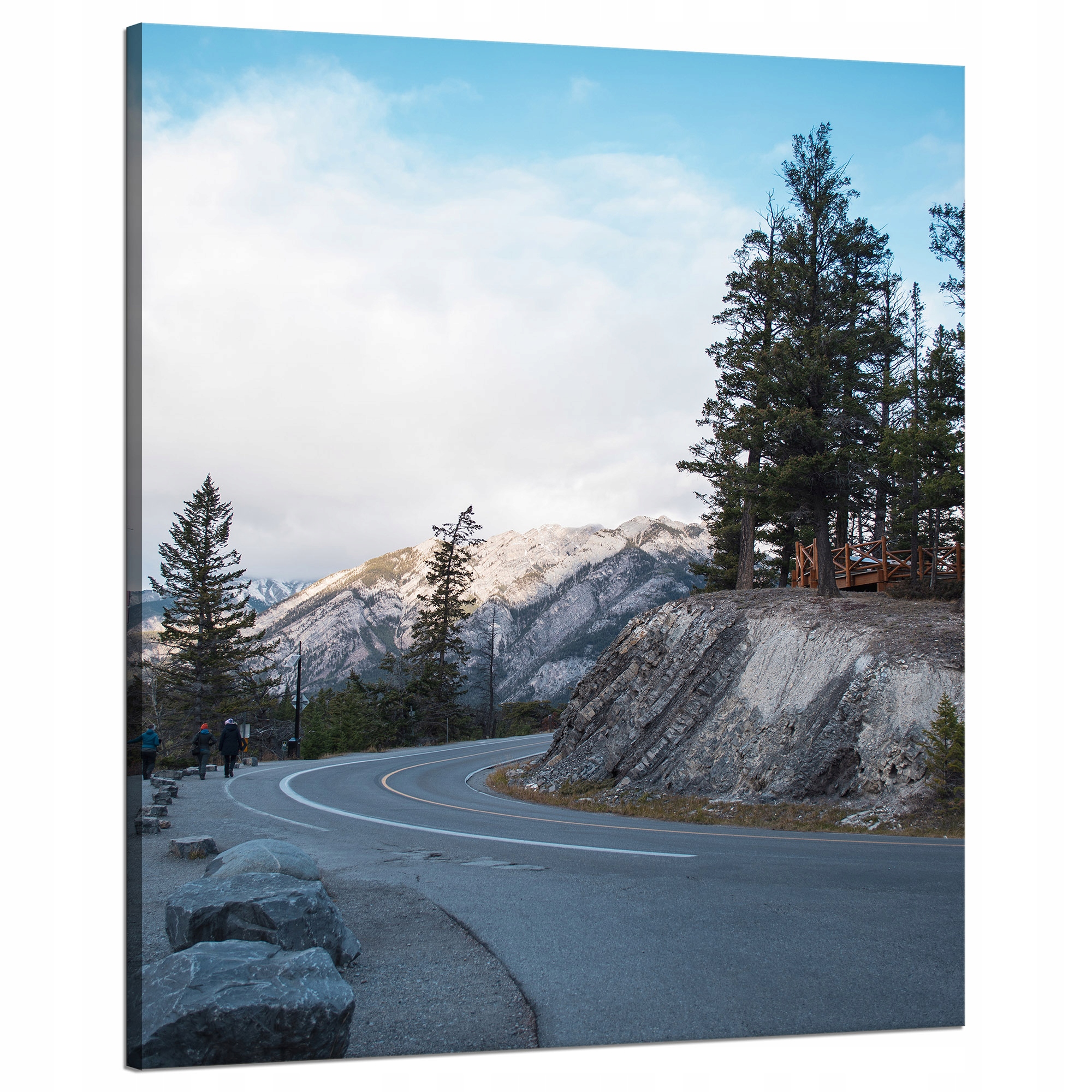 Obraz Canvas Příroda Cesta přes hory 80x100 cm