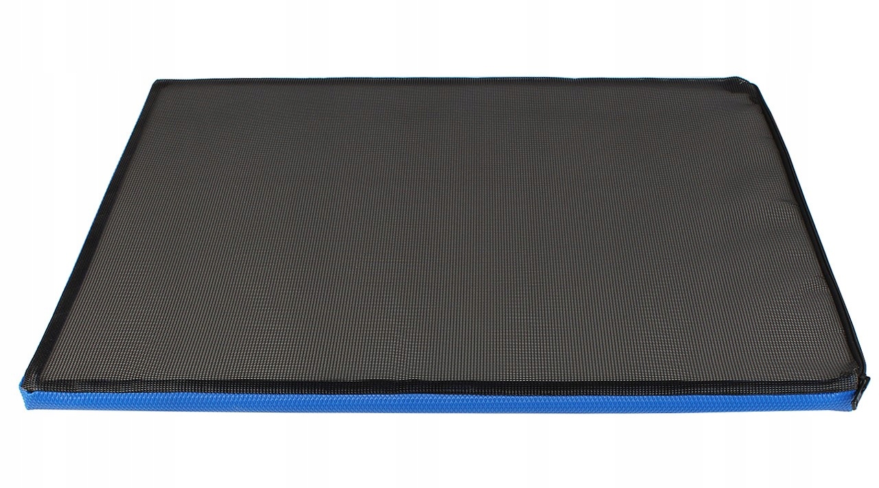 PROFESJONALNA MATA DEZYNFEKUJĄCA PRZEJŚCIOWA DUŻA