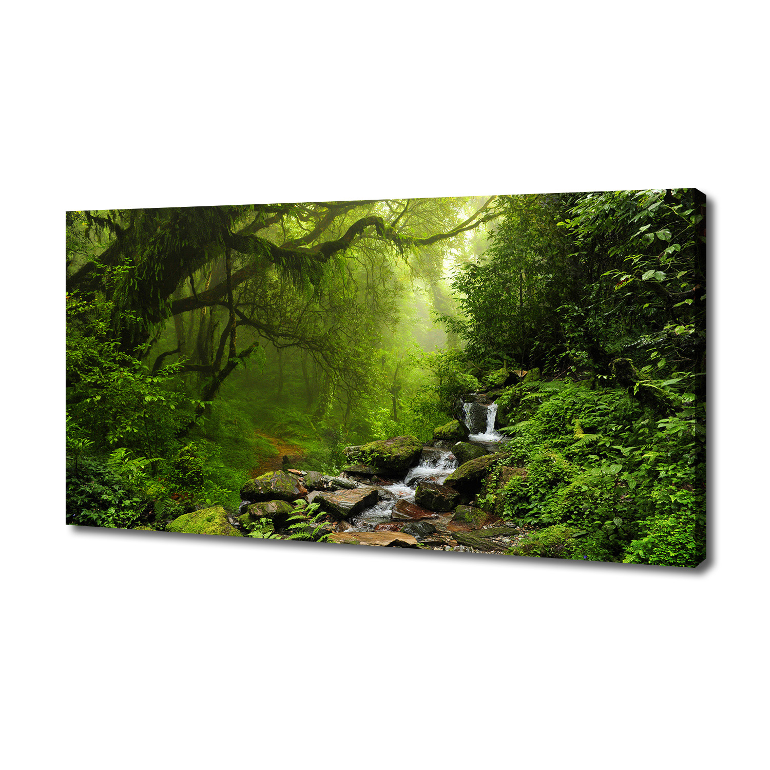 

Foto obraz na płótnie Dżungla w Nepalu 140x70 cm