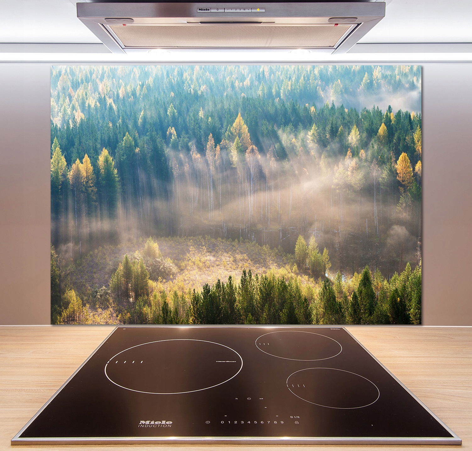 

Panel dekor szkło Mgła w lesie 100x70 cm + Klej
