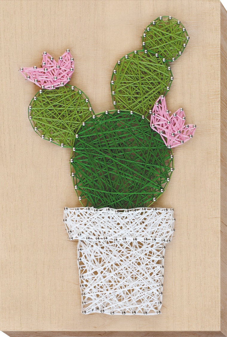 Strunová výtvarná kreativní sada "Cactus" Diy kreativní