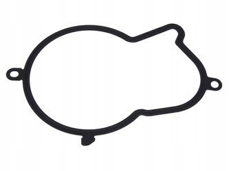 USZCZELKA POMPY WTRYSKOWEJ FORD 2,0 DIESEL DW10F