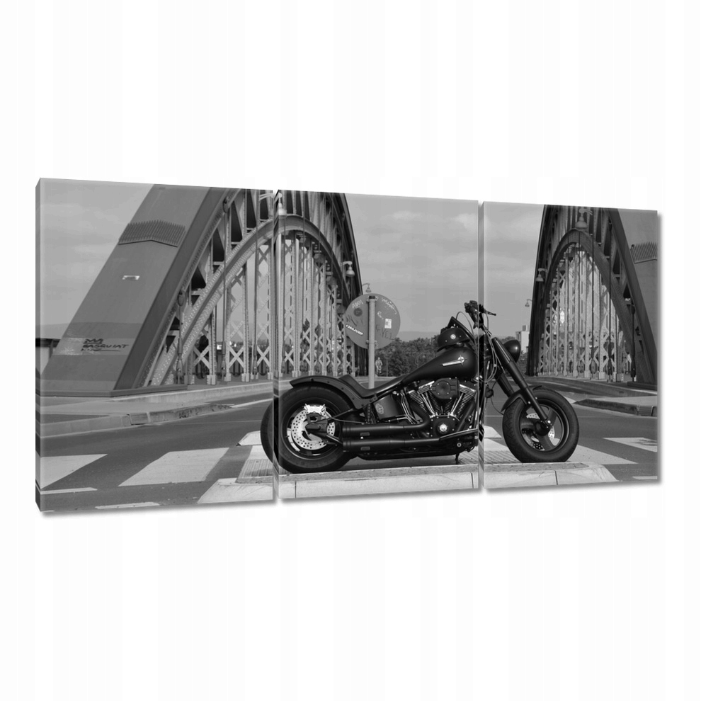 

Obrazy 120x60 Harley Davidson Motocykl