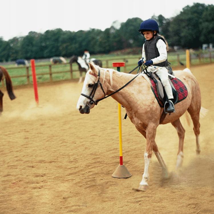 OCHRONNA KAMIZELKA JEŹDZIECKA DLA DZIECKA Płeć mężczyzna