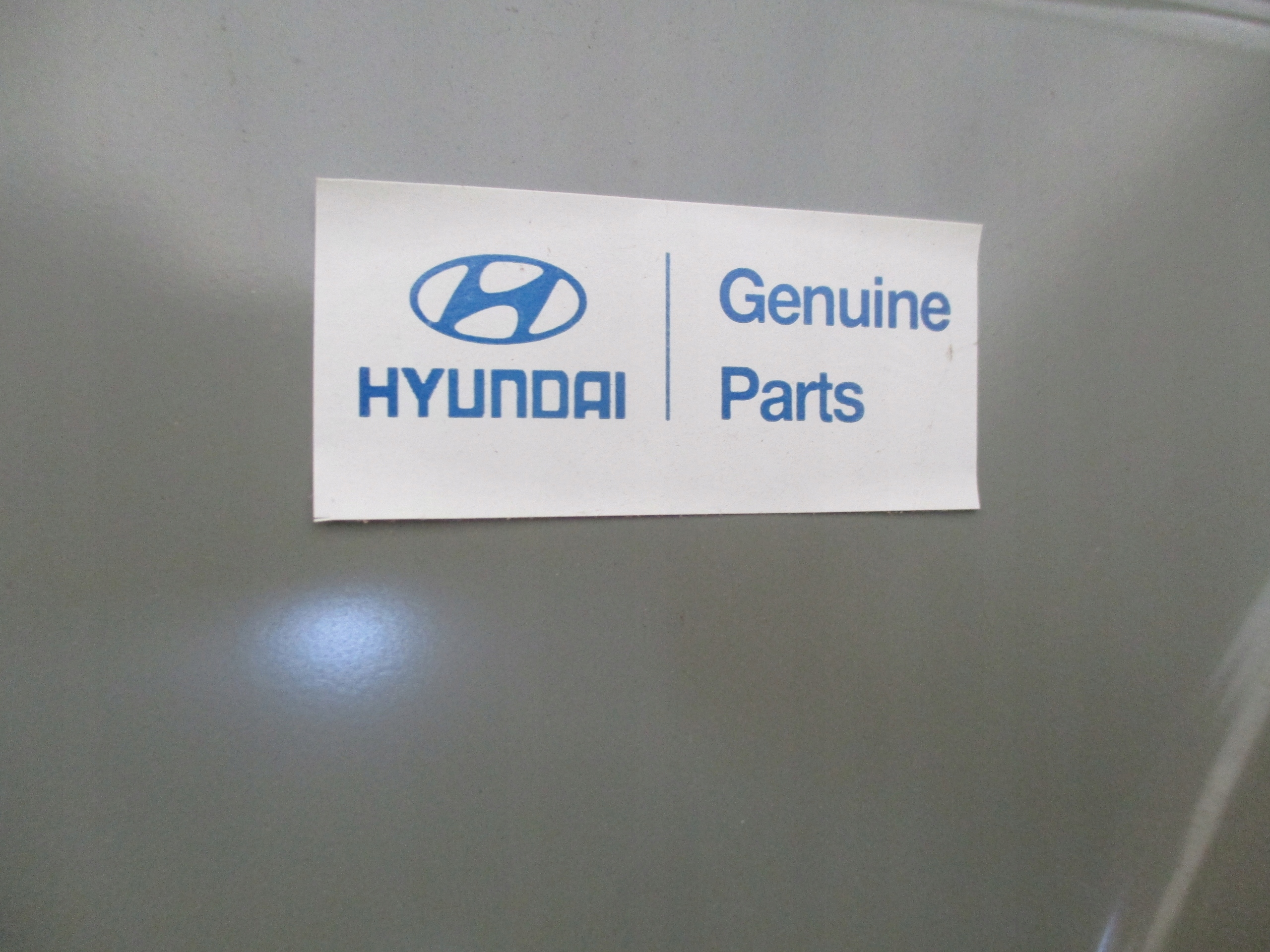 threshold left front front Hyundai Getz 02-09r