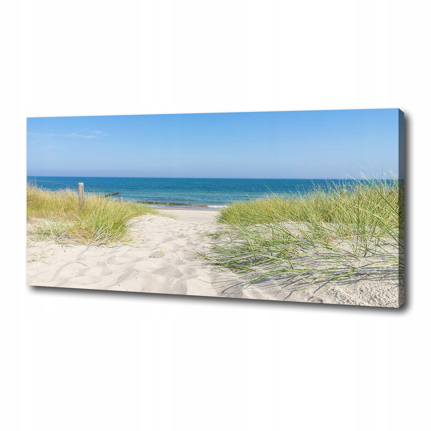 

Foto obraz na płótnie Nadmorskie wydmy 125x50 cm
