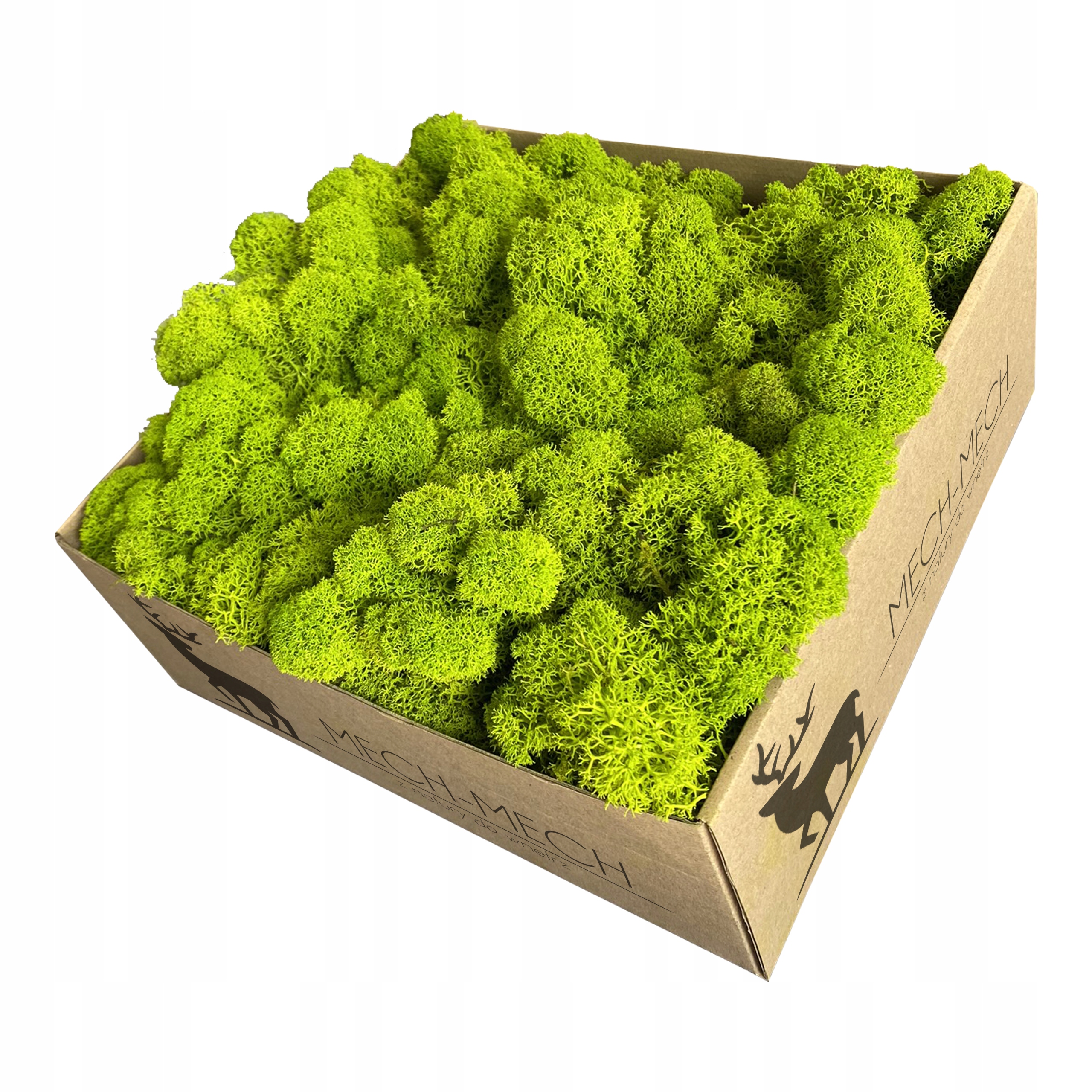 

Mech chrobotek Fiński 500g Jasnozielony