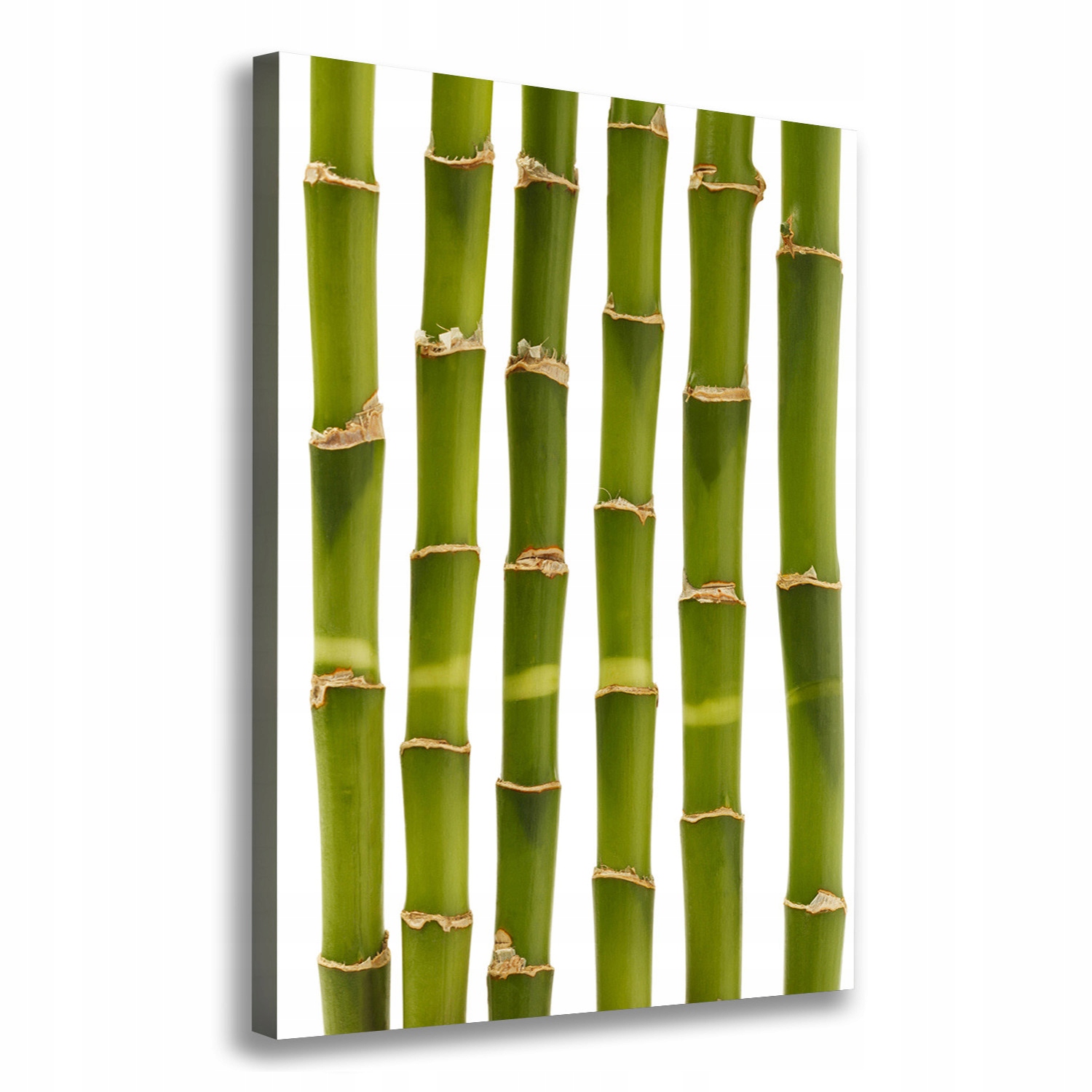 

Nowoczesny fotoobraz canvas na ramie Bambus 70x100