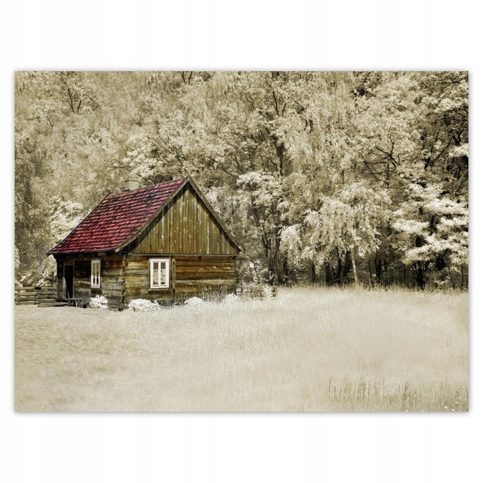 

Plakat 40x30 Domek z bali Bale