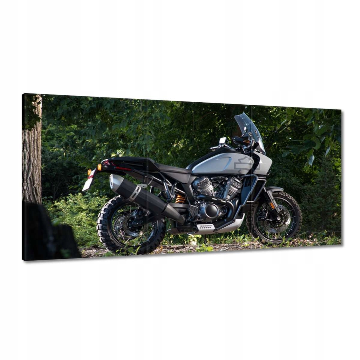 Obrazy 180x90 Harley Davidson Motocykel