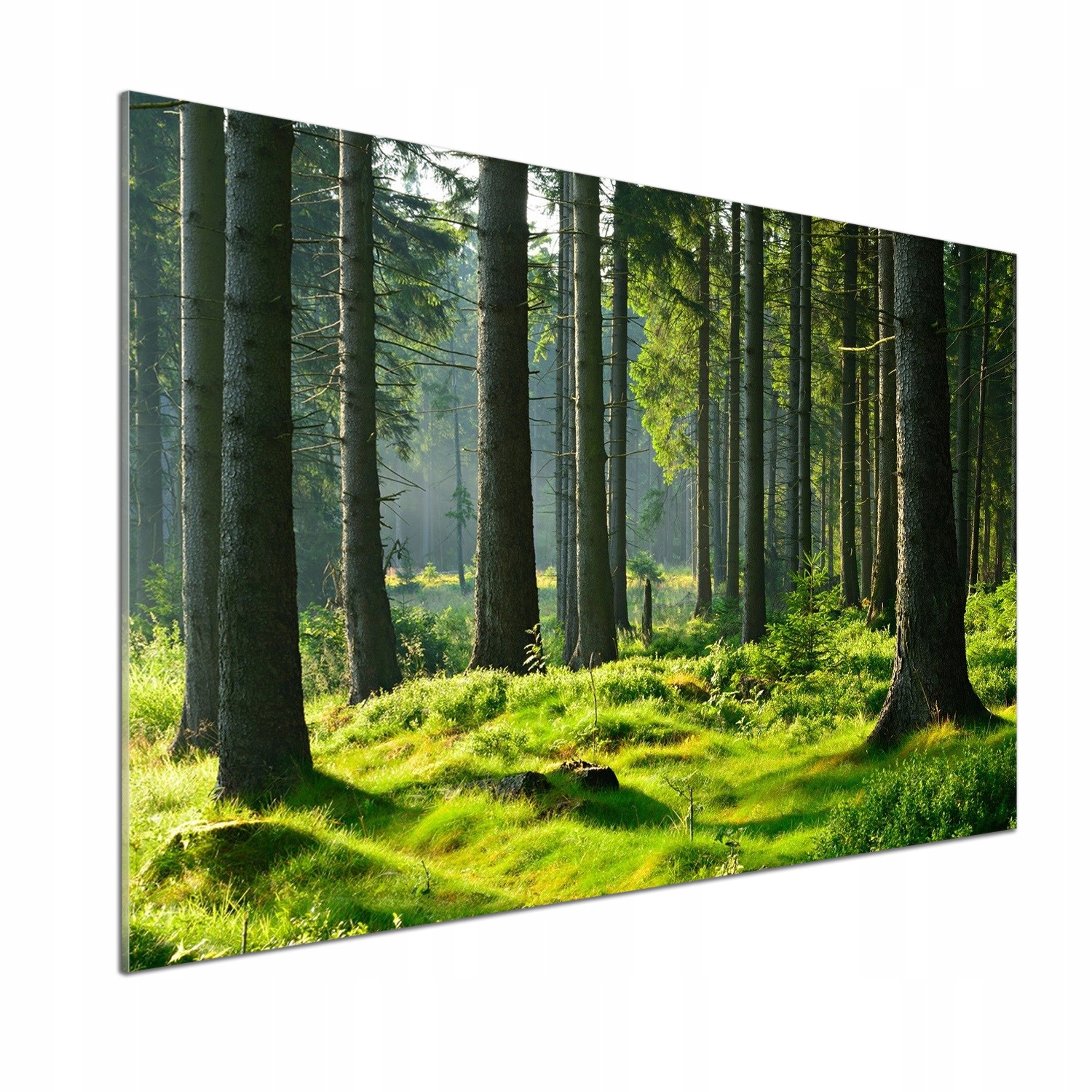 Panel do kuchyne Smrekový les 100 x 70 cm Lepidlo