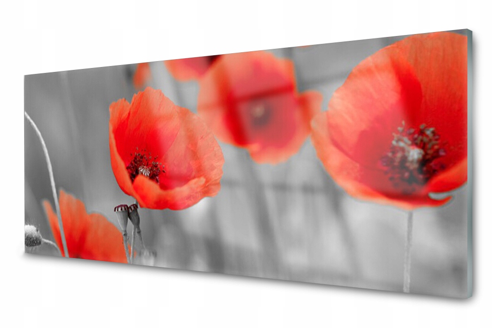 

Panel szklany do kuchni Maki Roślina 125x50