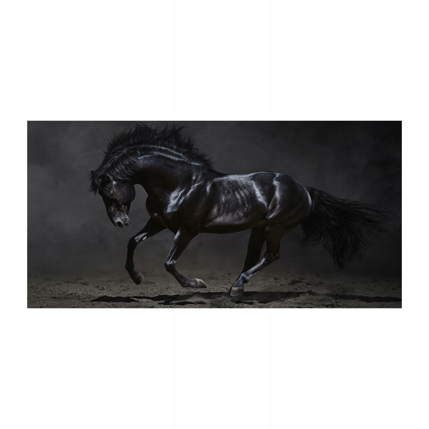 

Foto obraz akrylowy Czarny koń zdjęcie 140x70 cm