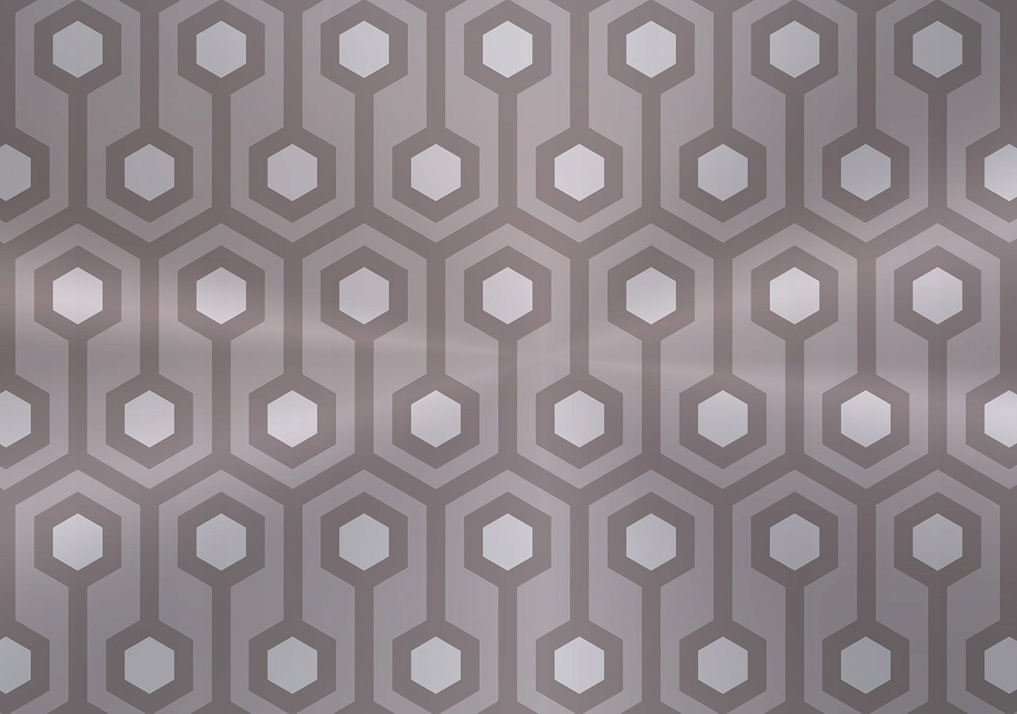 Fototapeta Geometrické šestiúhelníky abstrakce šedé 300x210 lepidlo