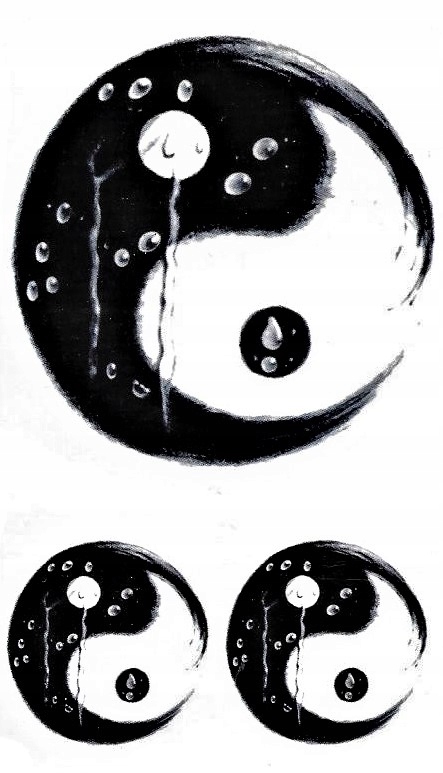 

Tatuaż tymczasowy Znak Yin Yang Symbol fake tattoo