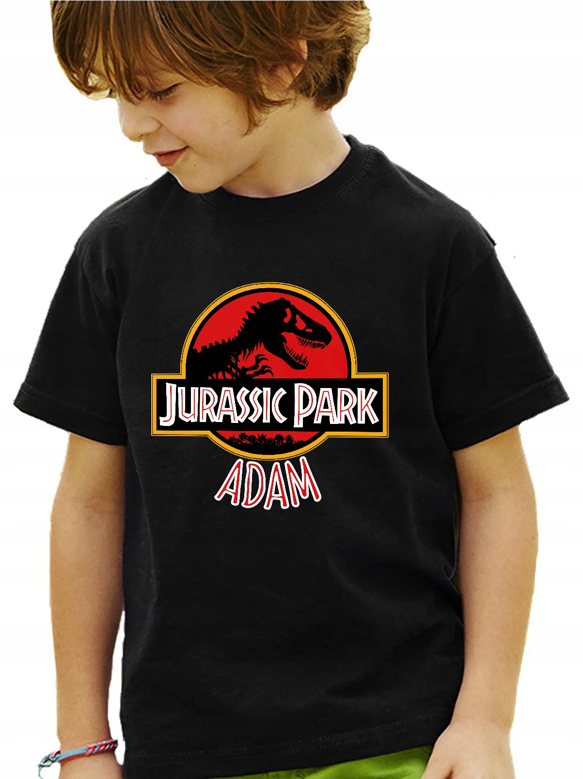 

Koszulka 5-6 Jurassic Park Dzień Dziecka Y5