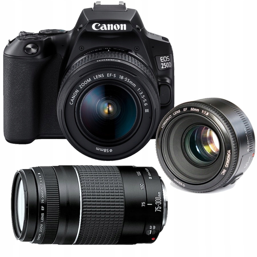 Sada Canon 250D 18-55 DC III 50 MM 1.8 Yn 75-300