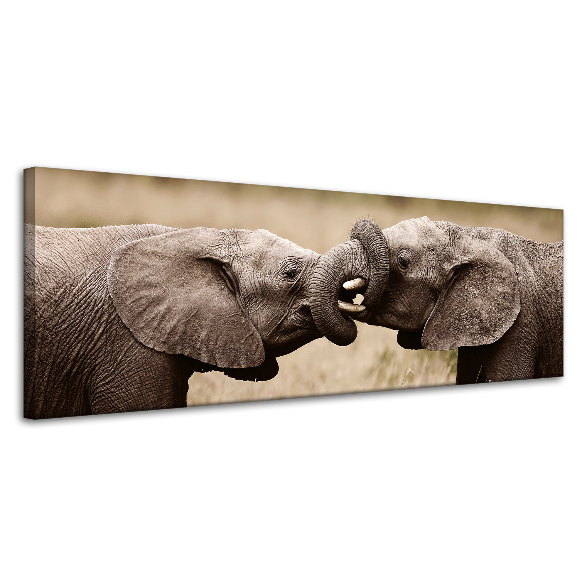 Obraz na plátně Setkání slonů Afrika Příroda 120x40 cm Ideální jako dárek