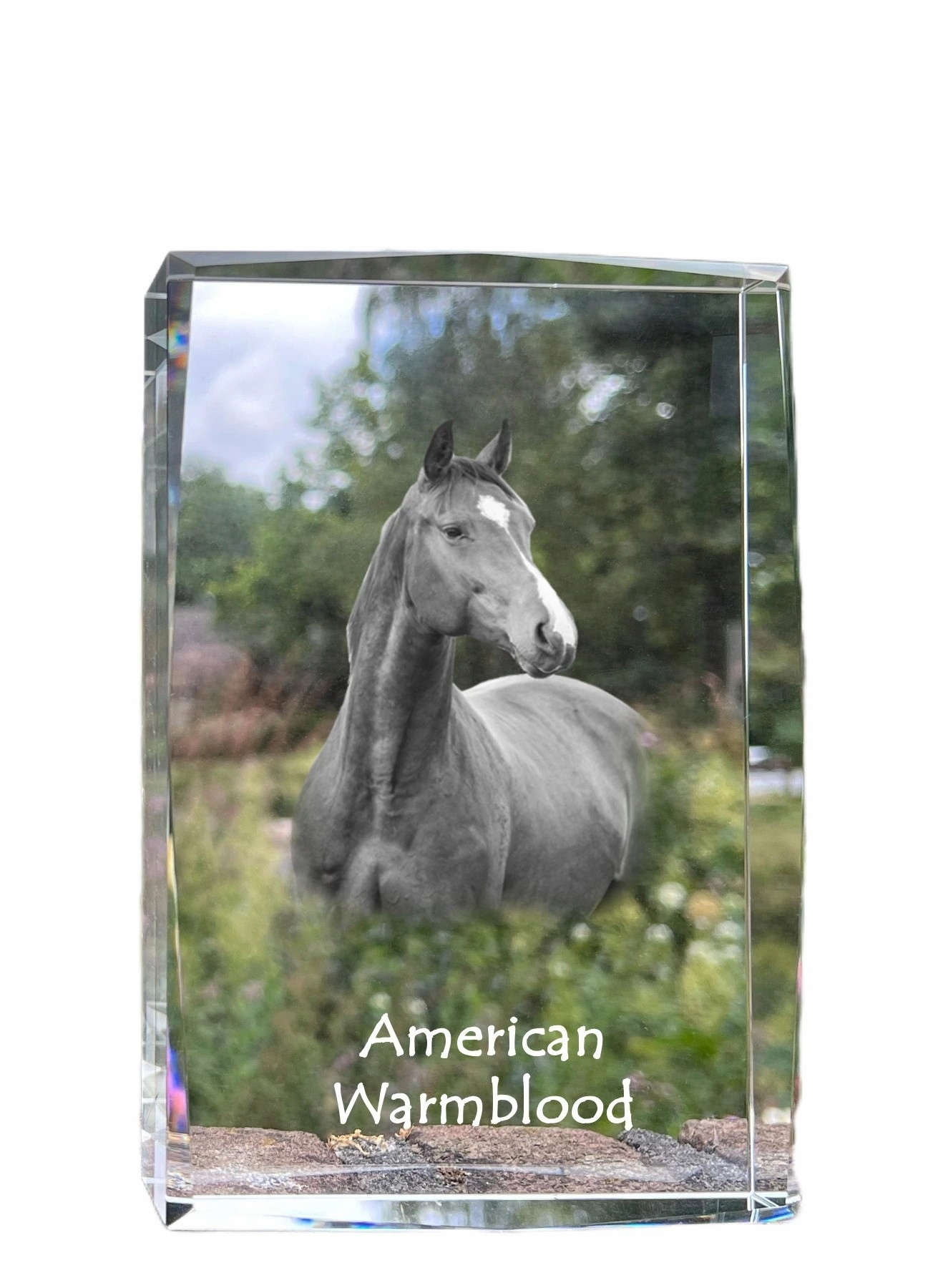 Americký kôň Warmblood fotografia v kryštáli, suvenír, trofej
