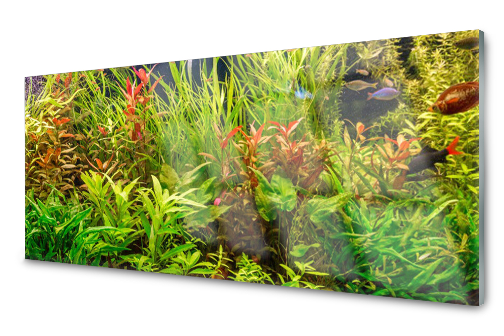 

Panel szklany do kuchni Akwarium Rybki 125x50