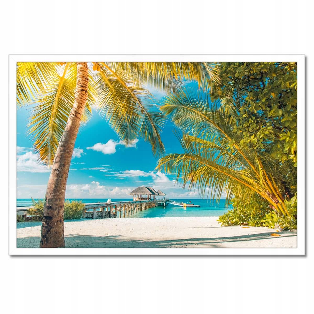 Plakáty v rámu 60x40 Tropiki Krajina Palma