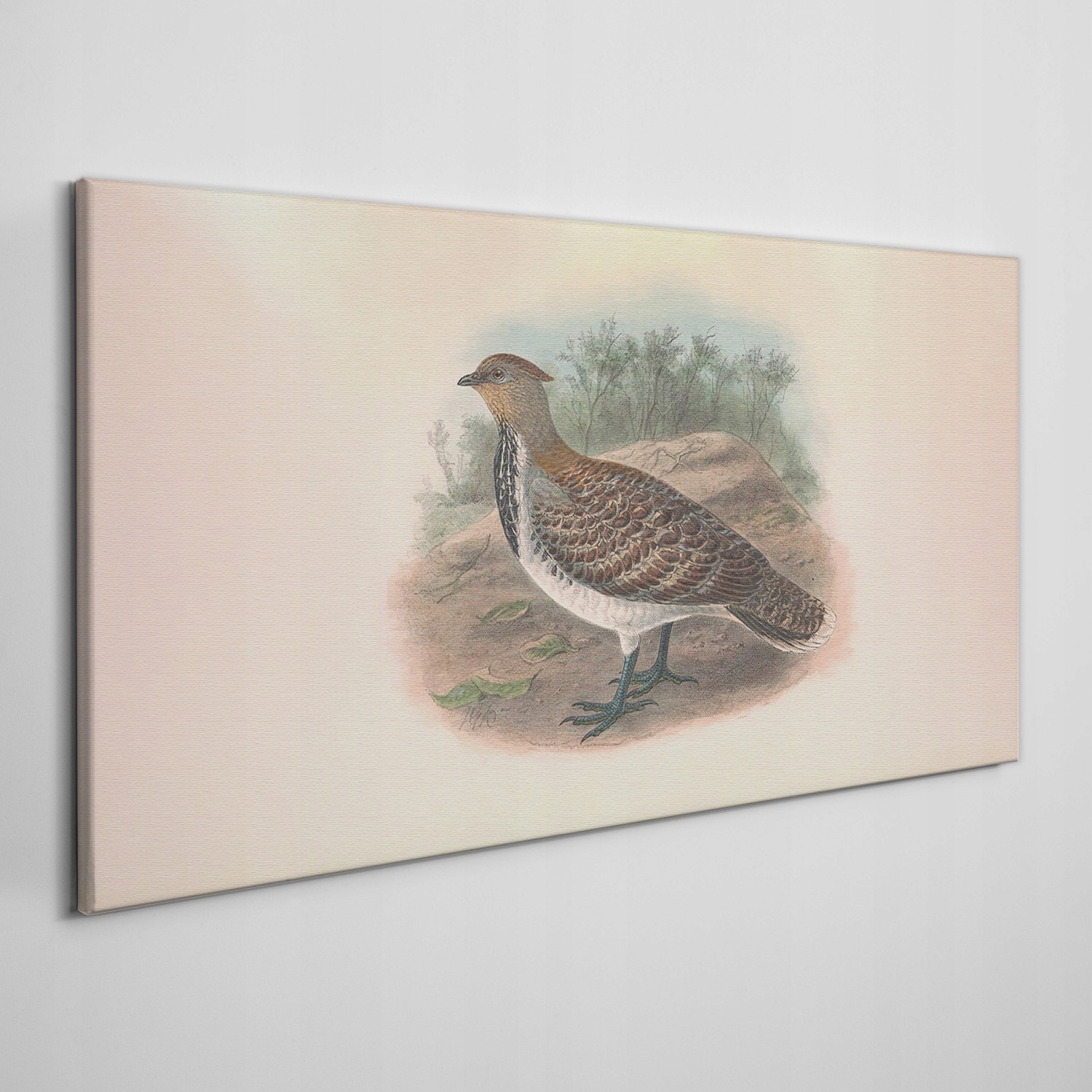 

Płótno foto obraz na ramie Ptaki zwierzęta 120x60