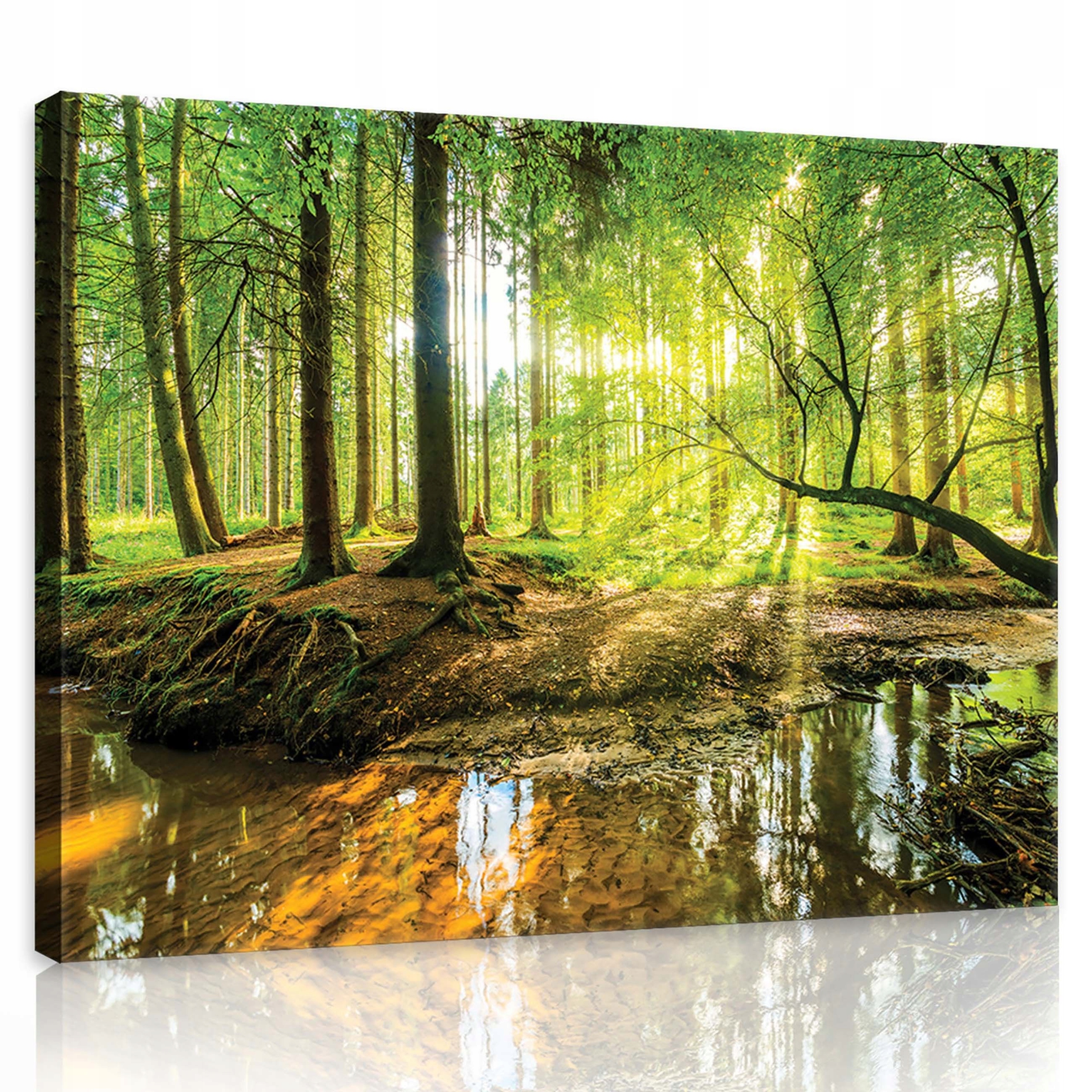 Obraz 80x60 Lesní přístav Odraz v proudu Krajina do obývacího pokoje