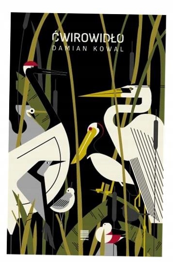 Ćwirowidło Damian Kowal