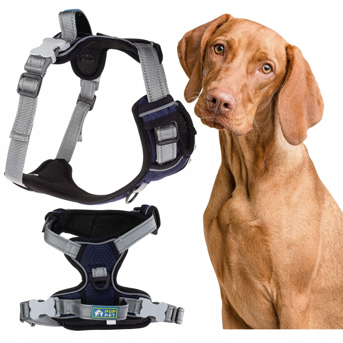 Levně Postroj pro psa beztlakový s rukojetí typu Guard L Tmavě Modrý