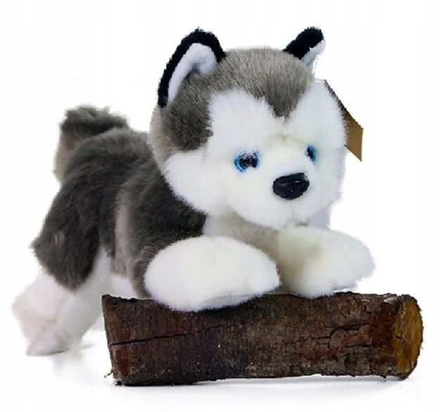 

Maskotka Pies Husky Eko Realistyczny Piesek 24cm