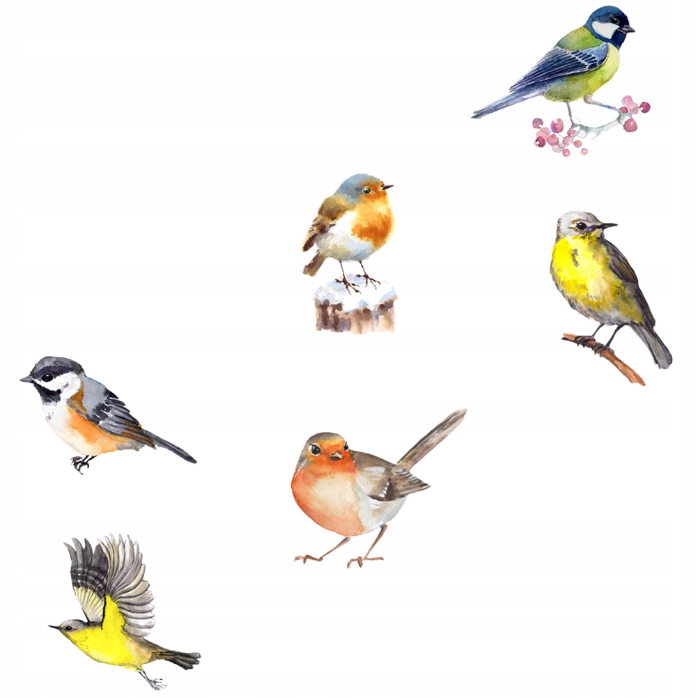 NAKLEJKA PRYWATNOŚCI NA OKNO PTAKI PRYZMATYCZNA