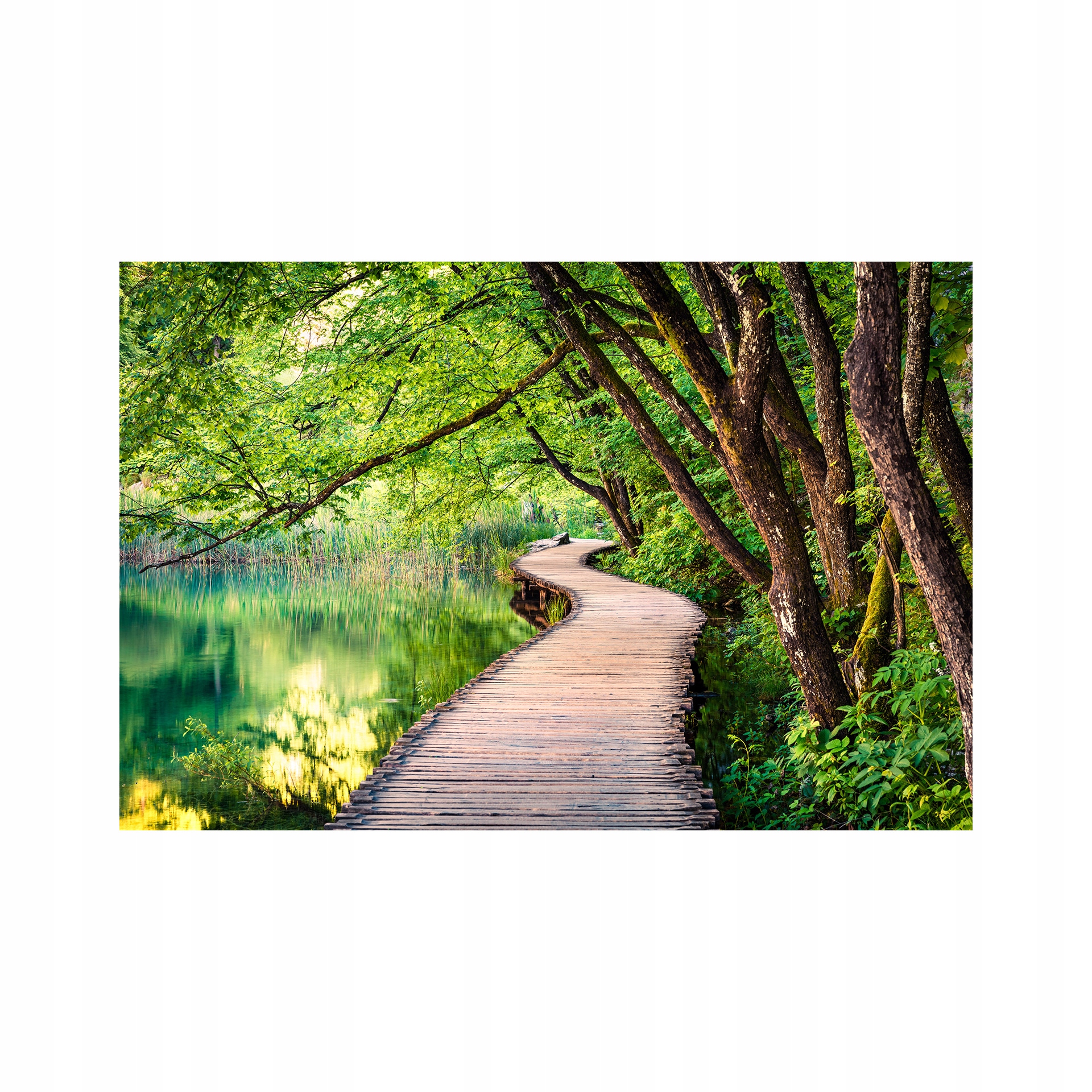 Styler Obraz na plátně Canvas Lake Path 85x113 dekorativní do obývacího pokoje