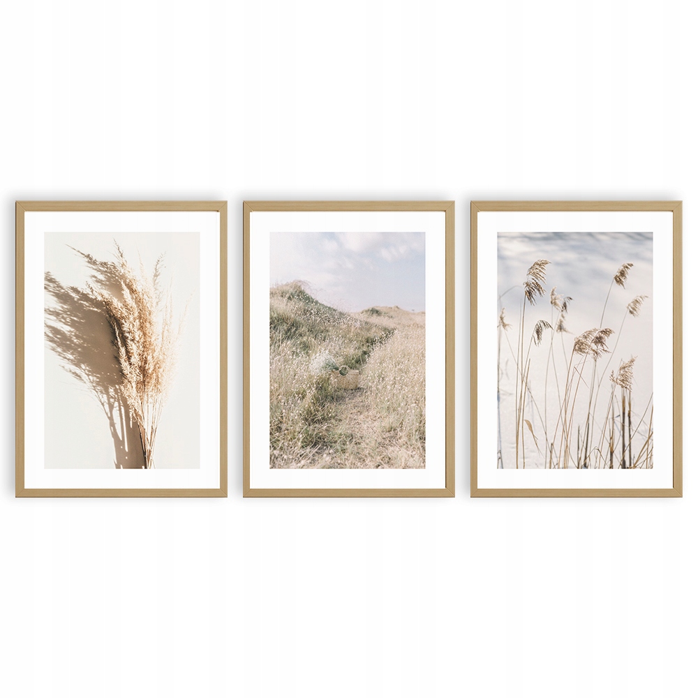 

Plakat A4 Modny Zestaw Boho Obraz Trzcina Natura