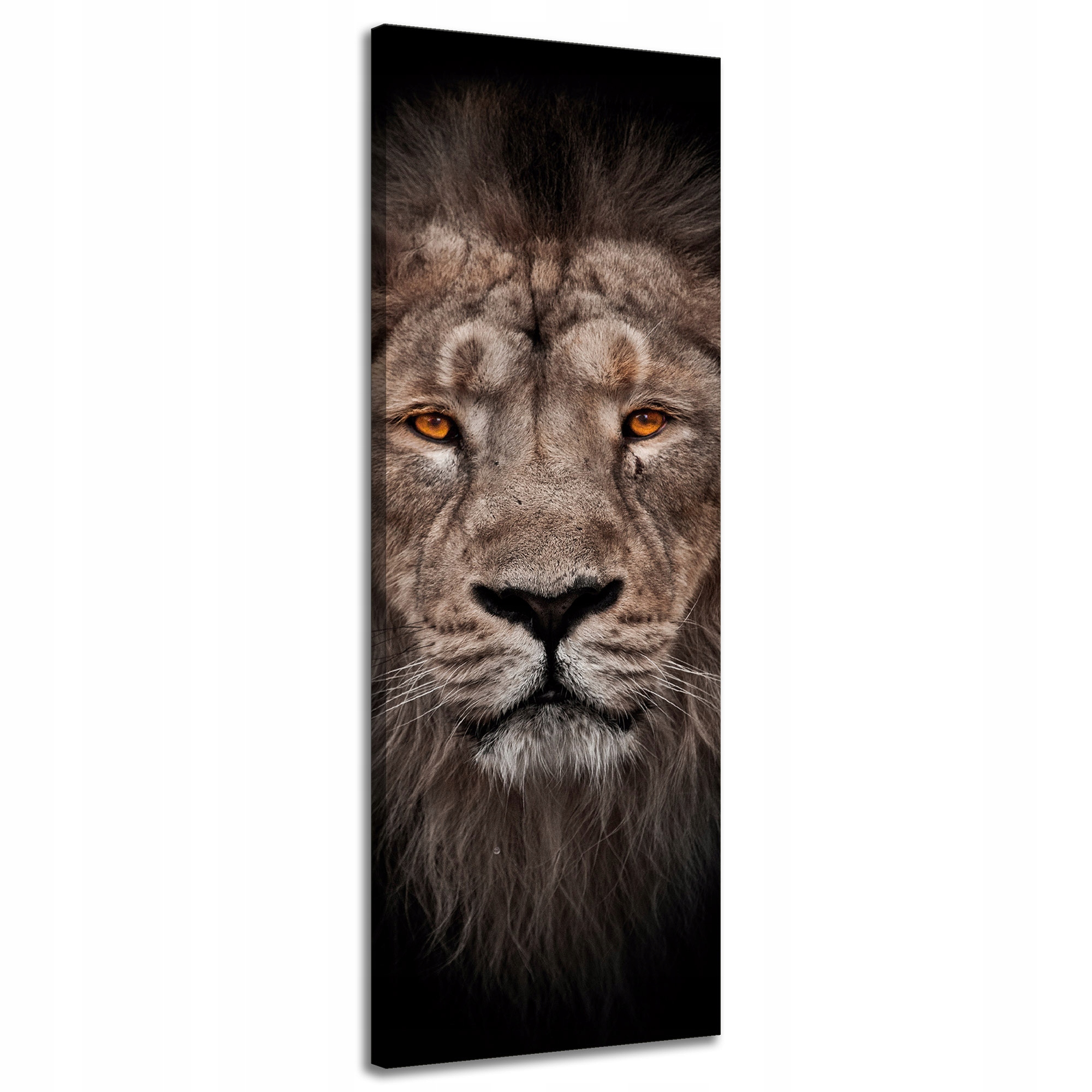 Obraz na plátně Tvář lva Červené oči Divočina 40x120 cm