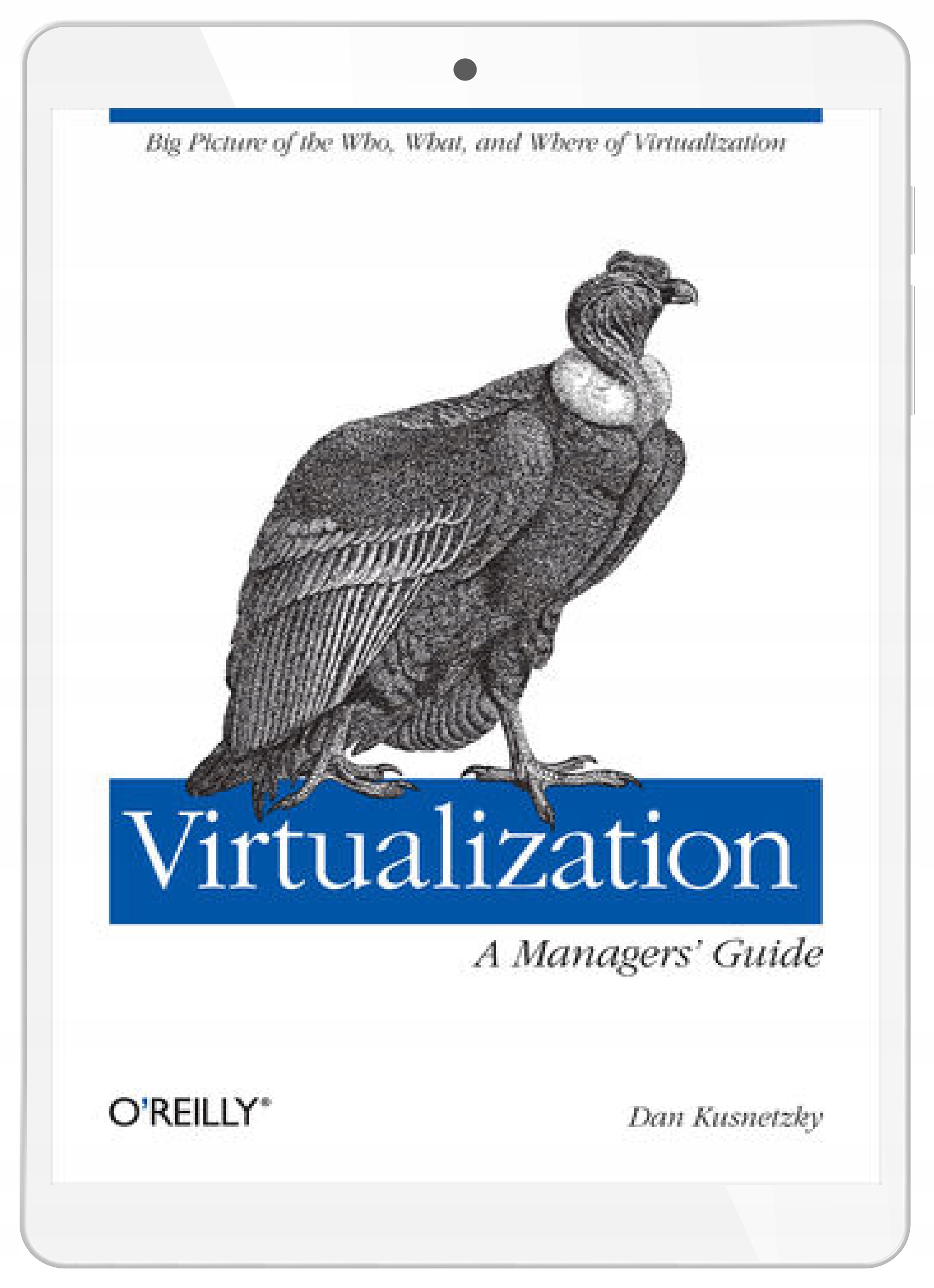 Virtualization: A Manager's Guide. Big Picture of