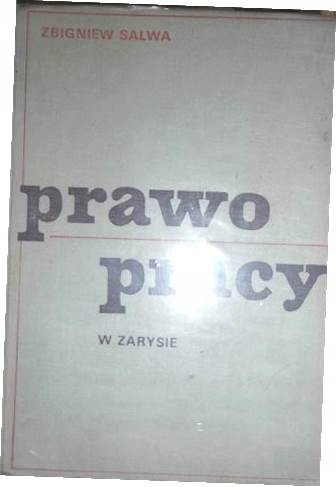 Prawo pracy w zarysie - Zbigniew Salwa