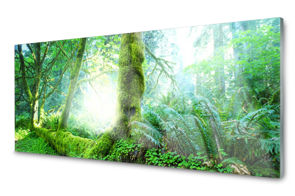 

Panel szklany do kuchni Dekor Las 125x50