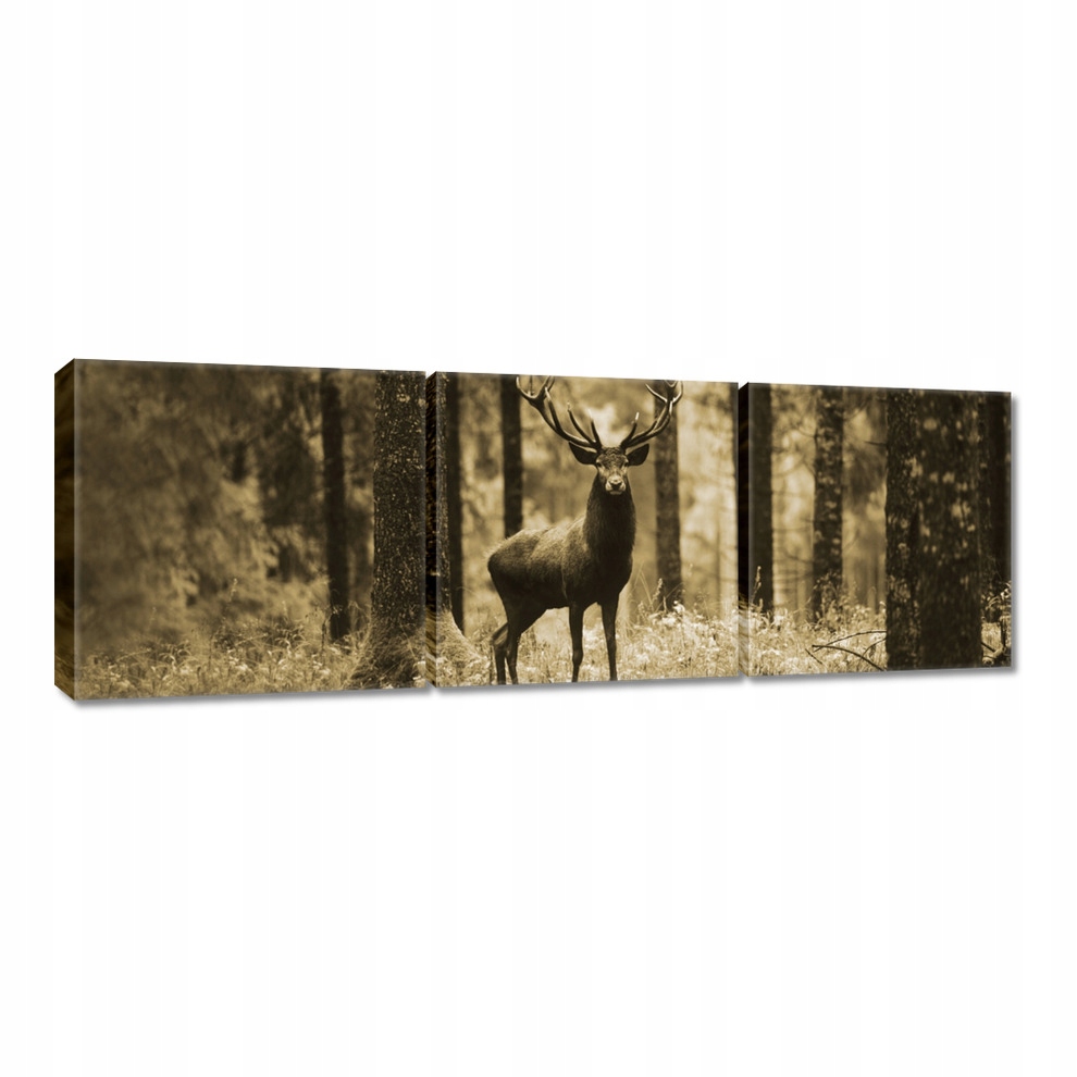 

Obrazy 60x20 Jeleń w lesie Sepia