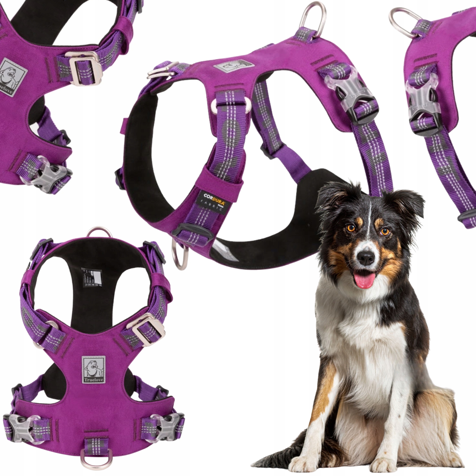 Szelki Dla Psa Wodoodporne Lekkie Truelove Adventure Dog Fioletowe L