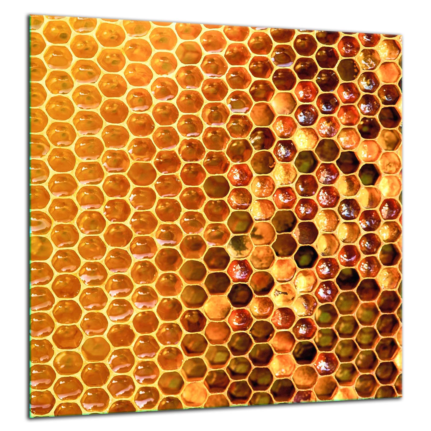 Skleněný Ochranný Panel Do Kuchyně 60x65 Med Lacobel 7v1