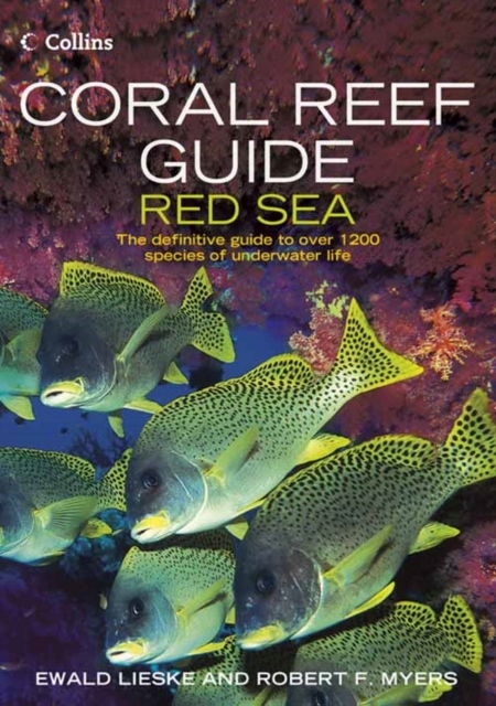 その他 Fascination Coral Reef 3d Boxset [Blu-ray] [Import] rdzdsi3 Köp Fascination Coral Reef 3D+2D Blu-Ray | Samlarutgåvor,