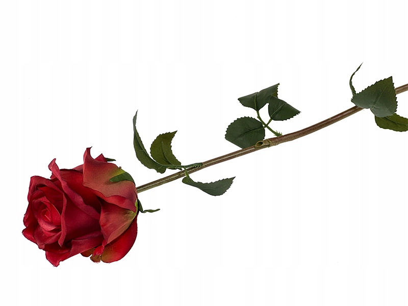 

Róża sztuczna Premium A984A Czerwień 60 cm